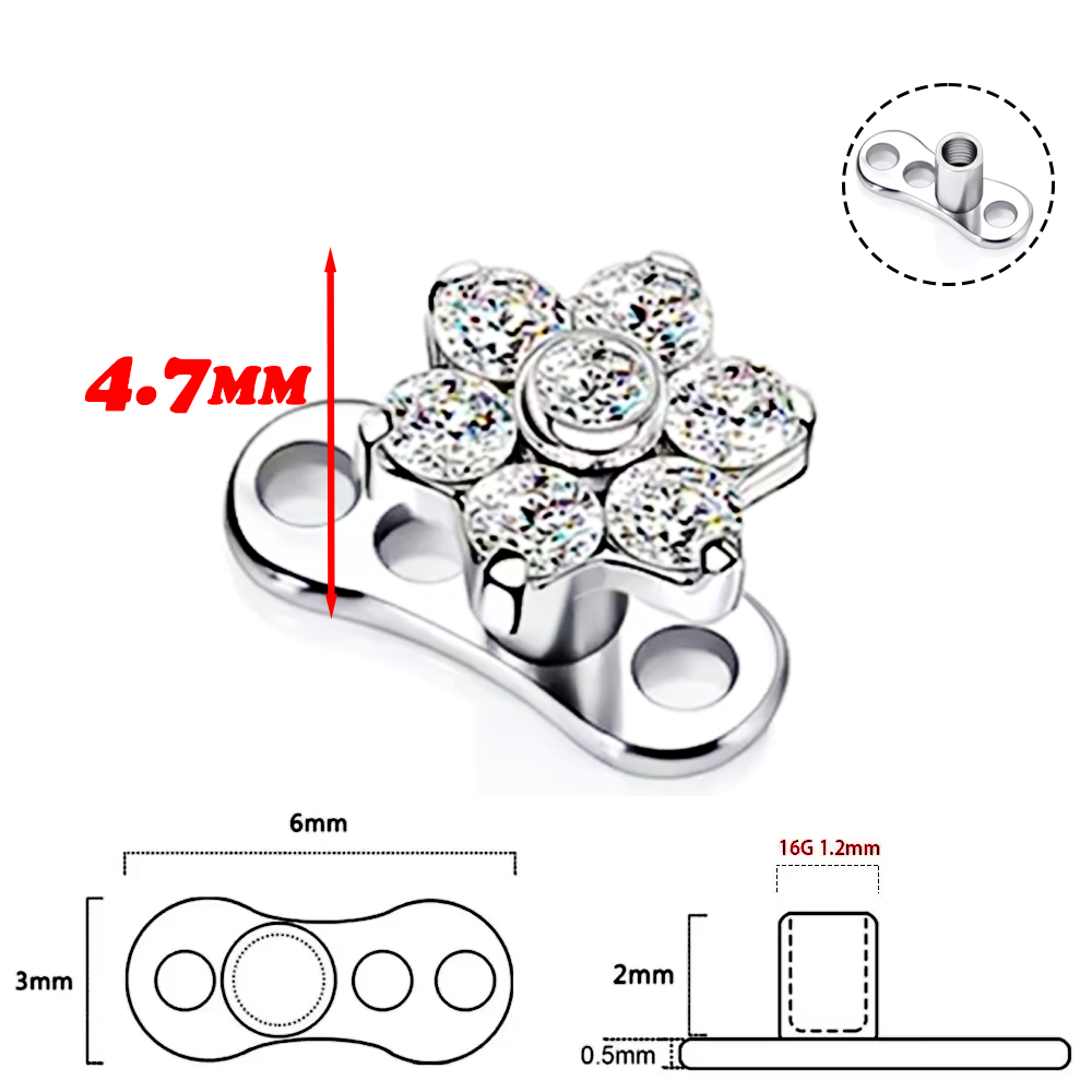 F136 Titanium Alloy High-Quali – Body Jewelry Quality recenzja i cena